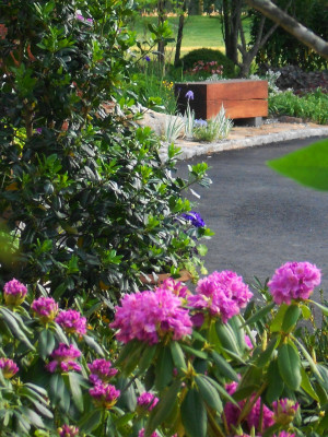 913 Stenger 9 BracN Garden Bench Doylestown 5-15 (23)